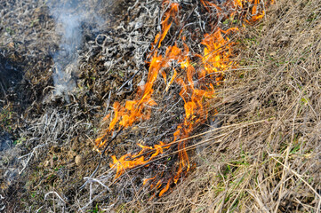 Fire was caused by burning dry grass near village Strilky and Svirzh, Lvivska region, about 40 km from Lviv.