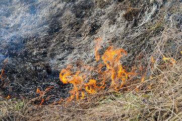 Fire was caused by burning dry grass near village Strilky and Svirzh, Lvivska region, about 40 km from Lviv.