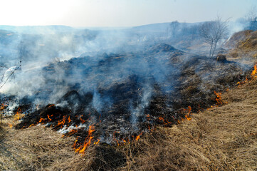 Fire was caused by burning dry grass near village Strilky and Svirzh, Lvivska region, about 40 km from Lviv.