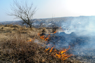 Fire was caused by burning dry grass near village Strilky and Svirzh, Lvivska region, about 40 km from Lviv.