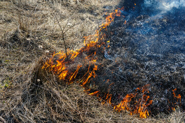 Fire was caused by burning dry grass near village Strilky and Svirzh, Lvivska region, about 40 km from Lviv.