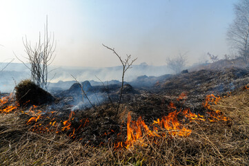 Fire was caused by burning dry grass near village Strilky and Svirzh, Lvivska region, about 40 km from Lviv.