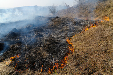 Fire was caused by burning dry grass near village Strilky and Svirzh, Lvivska region, about 40 km from Lviv.