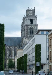 Foto op Aluminium Fernand Rabier Street in Orleans and a fragment of the northern facade of the Cathedral of the Holy Cross © Oleg Tyshchenko