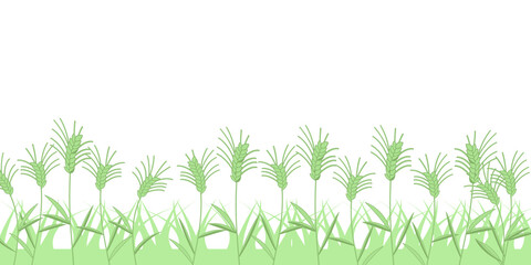 麦畑　若葉　線無し