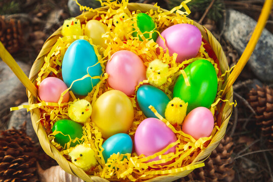Close up of cute and colorful easter eggs in a basket for kids. Easter celebrations and decorations. Top view. 