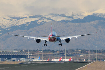 Naklejka premium airplane landing on the runway