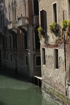 Vinice