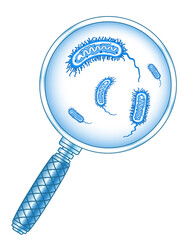 Bacteria and magnifier