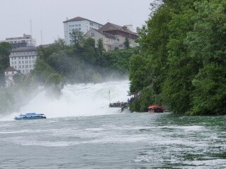 Fototapeta premium Rheinfall