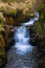 Fototapeta premium waterfall in the forest