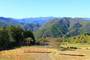 Hiking the Japanese Kumano Kodo Pilgrimage Trail - Nakahechi Route (熊野古道 - 中辺路コース) | Farming in Takahara (高原)