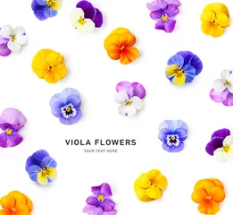 Foto op Canvas Spring viola pansy flowers creative background. © ifiStudio