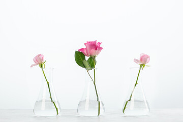 Bottle of essential oil with herbs on white background