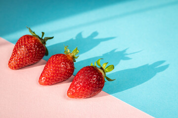 Red ripe strawberries with its shadows on the bright pink and blue background