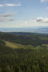 picturesque summer  view on the  forest and mountains from the top