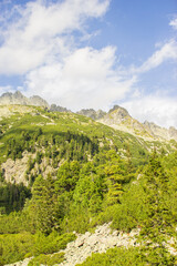Picturesque green top of  mountainin the High Tatras of Slovakia