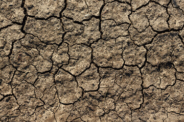 Texture of cracked dried soil. Dry ground with cracks. Brown rough surface of the soil during summer drought. Perfect for background and design. Ecology, climate change and global warming on Earth.