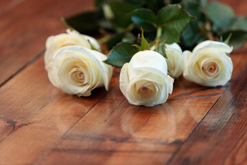 Obraz na płótnie Canvas White roses lie on a wooden table.