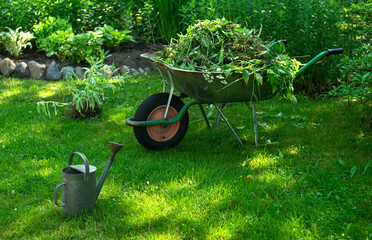 Ein Gartenkarren mit Gras neben einer Gießkanne aus Metall. Gartenreinigung im Sommer.