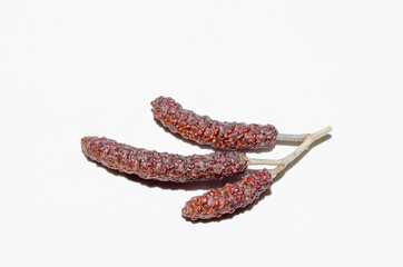 Alder earrings on white background.