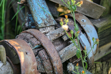 Broken old wooden wheel, old rustic.
