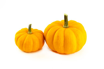 small and large pumpkin light orange whole on a white isolated background