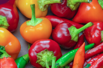 hot chili peppers round pod orange and red assorted