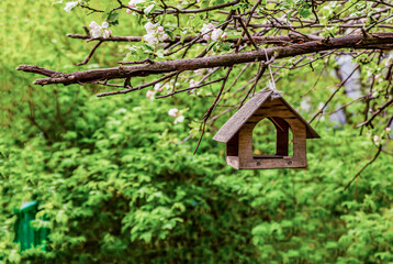 Fototapeta na wymiar wooden bird house hanging on a branch of an apple tree