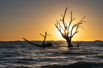Lake Bonney Sunset, Barmera, South Australia. Popular area for camping and water sports. Australian touring destination.