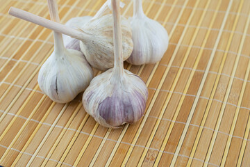 group of white garlic stands on wooden background seasoning traditional