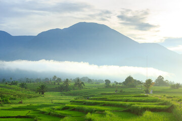 morning view with leafy mountains in Bengkulu when the morning is beautiful