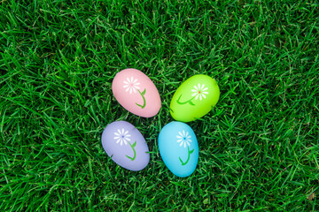 easter eggs in grass