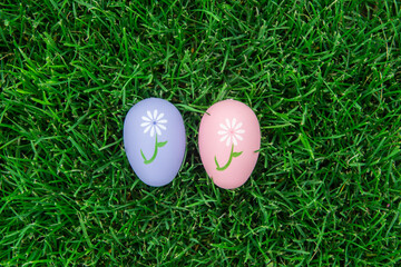 easter eggs in grass