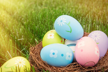 easter eggs in a nest on the grass