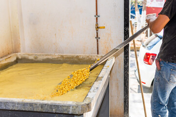 middle-aged man wearing a cap is moving the corn for its correct cooking