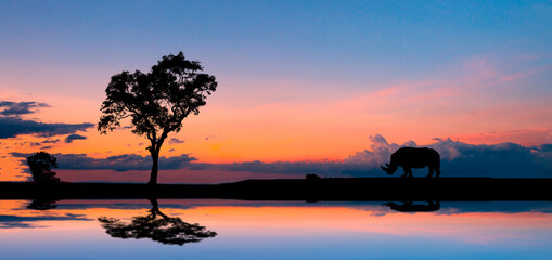 Obraz na płótnie Canvas silhouette of Rhino Walking on safari jungle, in sunset, with blur shadow.