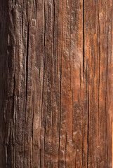 textura de madera con nudos  fondo de pantalla