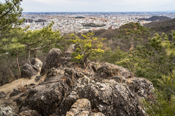 両崖山　登山ルートからの眺め　織姫山・両崖山区間　2021年1月