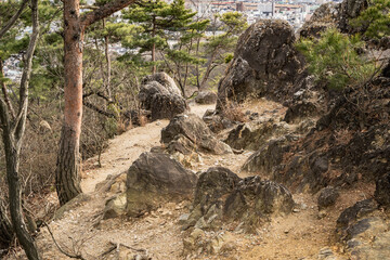 両崖山　登山ルートからの眺め　織姫山・両崖山区間　2021年1月