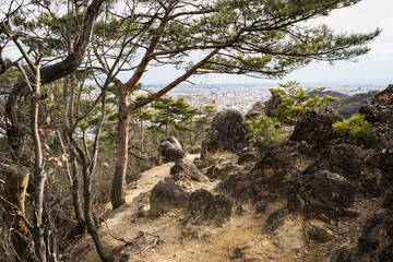 Fototapeta na wymiar 両崖山　登山ルートからの眺め　織姫山・両崖山区間　2021年1月