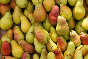 Freshly picked pears for sale in Dezerters' Bazaar open-air market, Tbilisi, Georgia