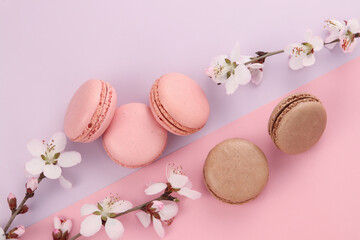 macarons of all colors are on the table