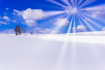 北の大地の真っ白い風景