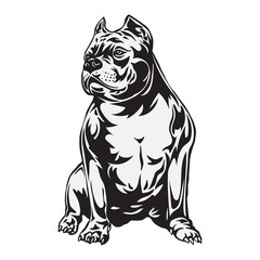 Obraz premium american-bulldog