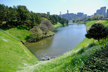 【東京】千鳥ヶ淵公園の桜（春）