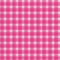 Seamless gingham Pattern. Vector illustrations. Texture from squares/ rhombus for - tablecloths, blanket, plaid, cloths, shirts, textiles, dresses, paper, posters.