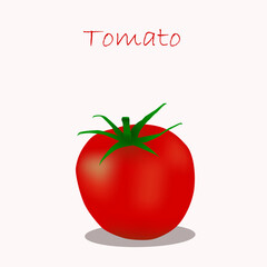 Tomato isolated on white background. Vector illustration.