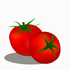 Tomatoes isolated on white background. Vector illustration.