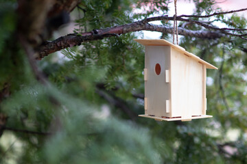 DIY bird house on a tree